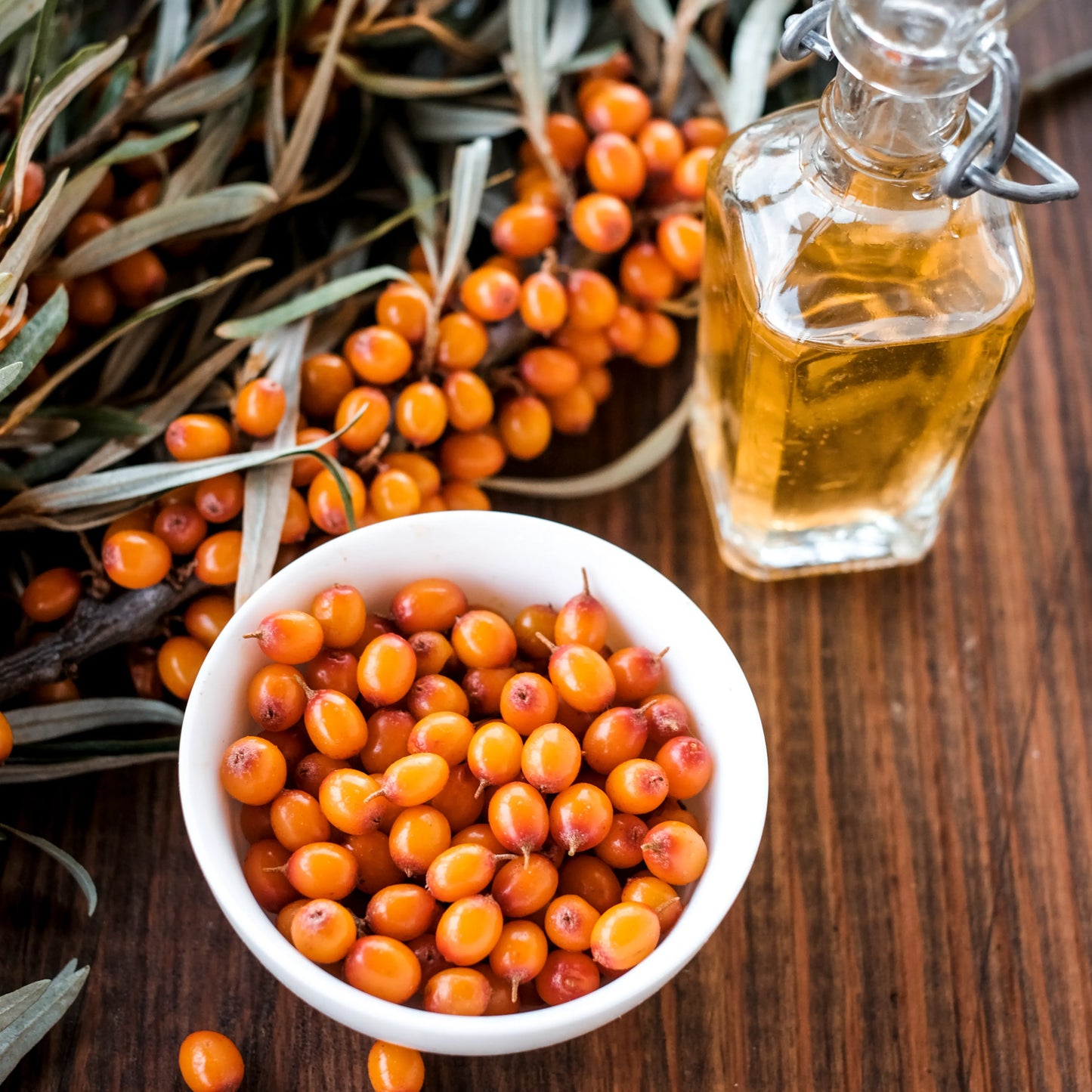 Sea_Buckthorn_Fruit_Pulp_Oil_2