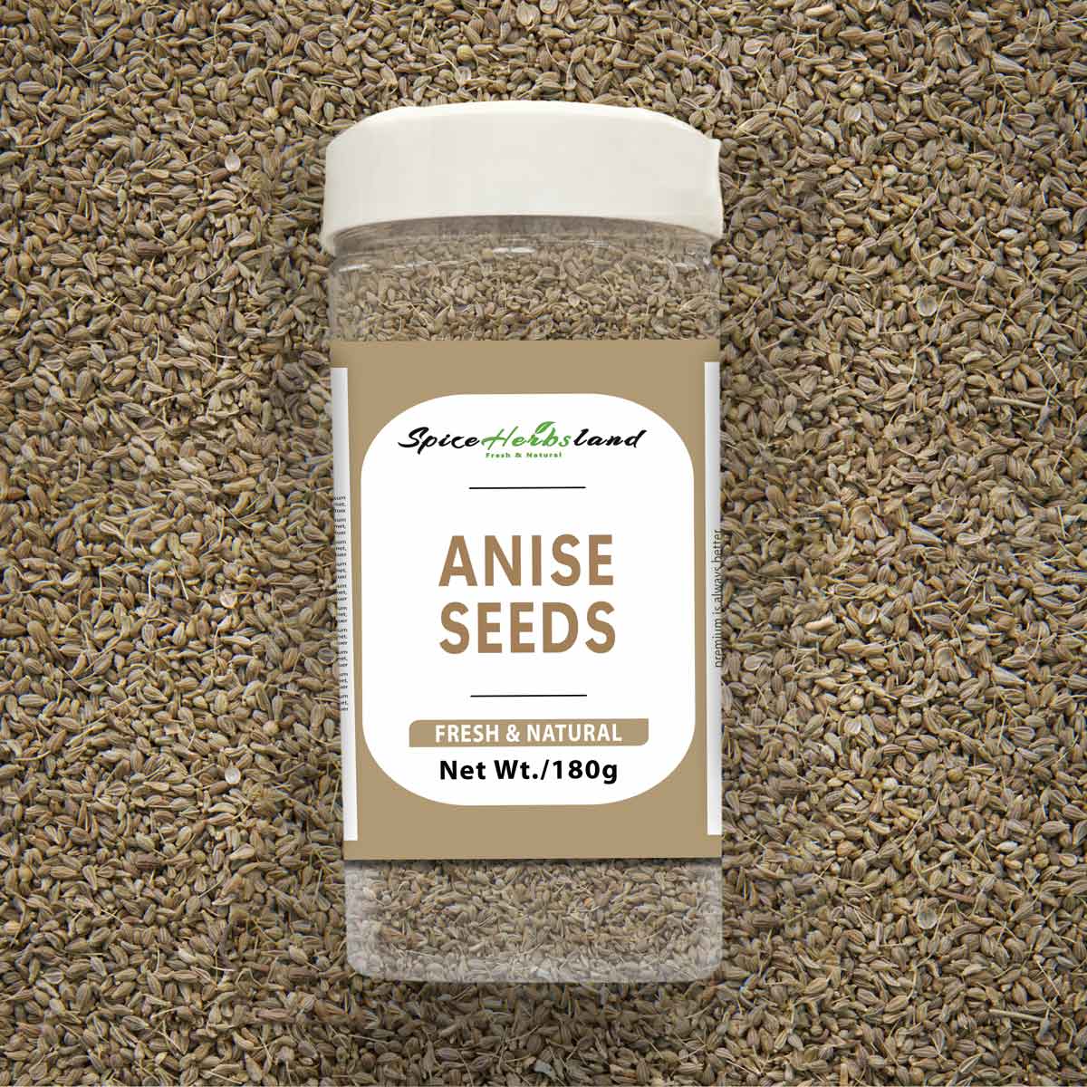 Anise_Seeds_SH2_P